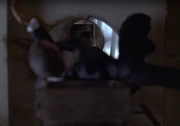 Dummydownchute