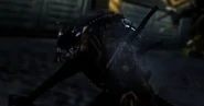 AVPRDPredalien3