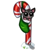 Black Sugarglider-icon.png