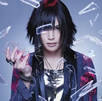 Voice provider Piko