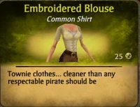 Embroidered Blouse