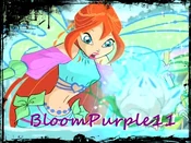 BloomP11-BloomShock