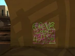Graffiti 21