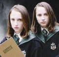 Flora&HestiaCloseUp.jpg