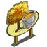 Yellow Maple Tree