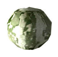 Buffalo gourd seed