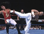 SummerSlam 1995.5
