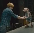 Dobby and ron.jpg