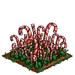 Candy Cane extra100
