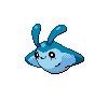 Mantyke NB variocolor