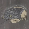MiseGama01
