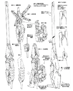 Woundwort-shield-booster-rifle