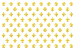 Frenchflag