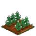 Peppermint 66