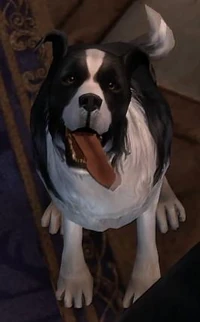 Fable3Dog2