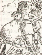 Banjon Wildlough.jpg