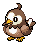 Starly NB variocolor hembra