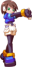 ZX Aile