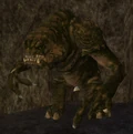 Shando.jpg