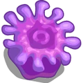 SeaLife Giant Anemone-icon