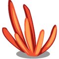 SeaPlants Red Coral-icon