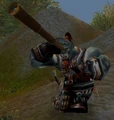 Blackrock Spy Male.jpg