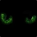 Eyes