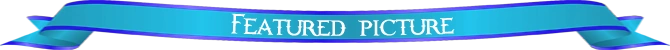 FP-header.png