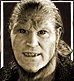 Bullet-greyback
