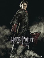 Pottergoblet-8