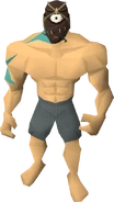 Cyclossus