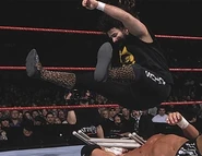 Royal Rumble 2000.9