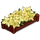 White Poinsettas-icon.png