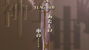 Flag 10.0