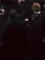 AlectoandAmycus.png