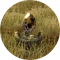 Portal invasions.png