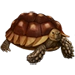 Item spurtortoise 01.png