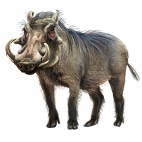 Huge item warthog 01.png