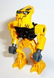Bio024