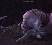 Amphitrite.png