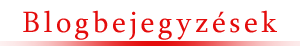 Blogbejegyz.png