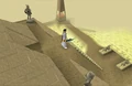 Desert Treasure.jpg