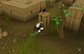 Monkey Madness.jpg