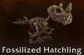 Fossilized hatchling.jpg