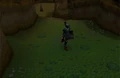 Underground Pass.jpg