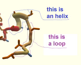 Illustration loop helix