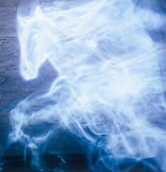 Ginny's horse Patronus