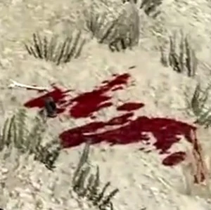 Rdr ralph anderson