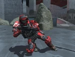 Reach 11044699 Full