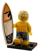 8684 15 Surfer